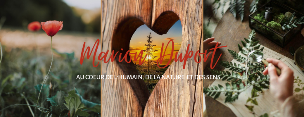 Atelier Live Bain de Forêt