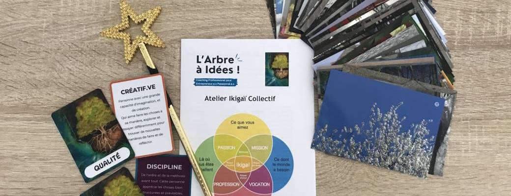 Atelier Ikigai Collectif - Ludo Coaching 