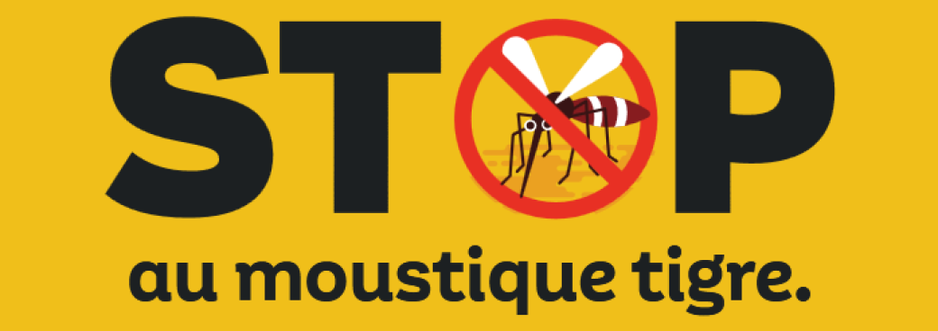 Atelier - Distribution de pièges pondoirs