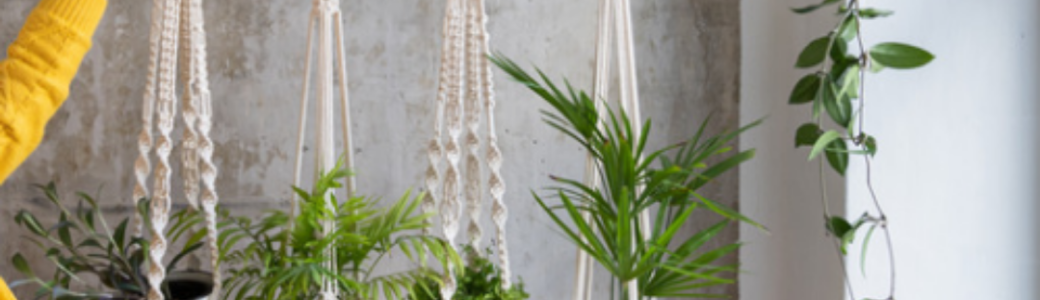 Atelier Suspension Florale en Macramé