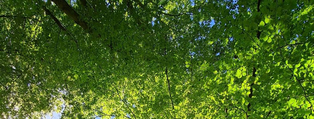 Atelier Nature Créative 