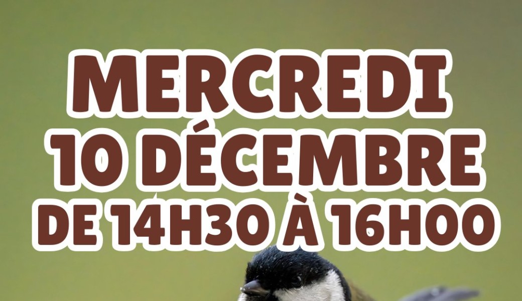 Atelier "Nature en ville" - Confection de boules à graines