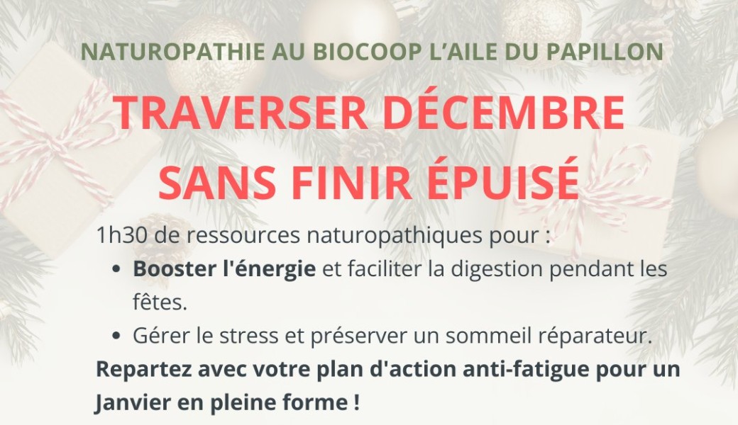 Atelier naturo : Traverser décembre sans finir épuisé