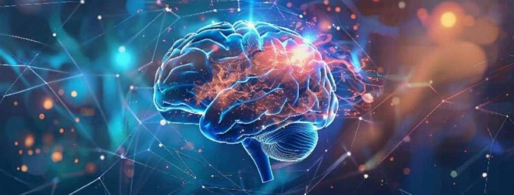 Atelier neurologie D1