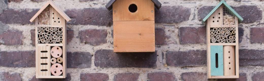 Atelier Nid à insecte