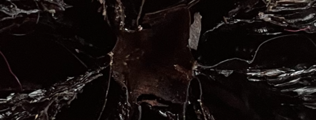 Atelier Noir lumière