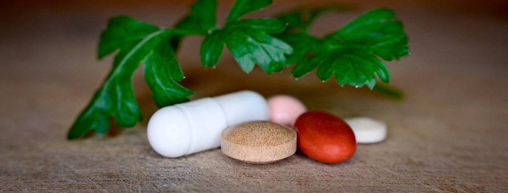 Atelier Nutraceutique : des ingrédients innovants et naturels en réponse à un marché dynamique