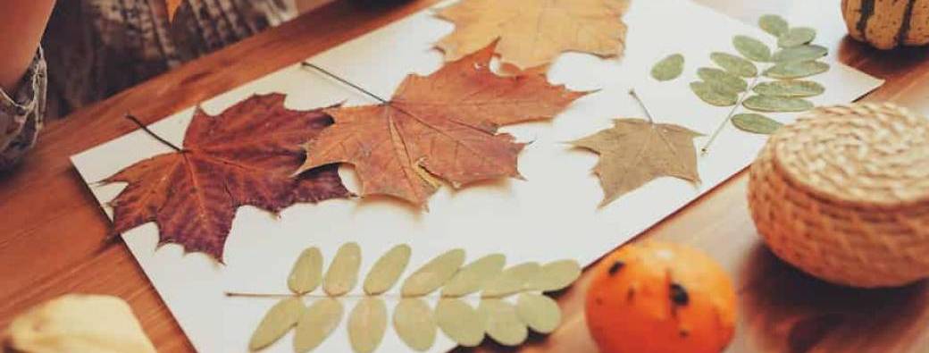 Atelier Parent Enfant Educatif - Herbier.  Août