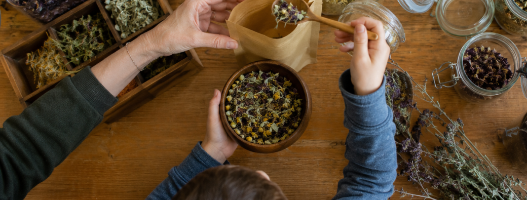 Atelier - Parent-Enfant - Eveil des sens avec les plantes