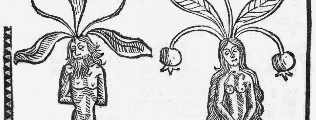 Atelier : PAS DE BILE ! Se soigner au Moyen Âge 