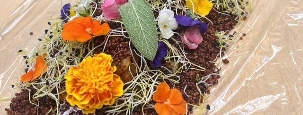 Atelier Permaculture et Design culinaire