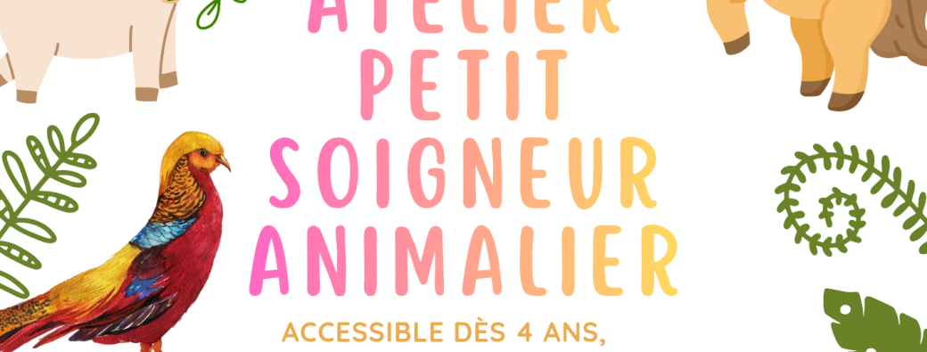 Atelier petit soigneur à partir de 4 ans, sans limite d’âge 