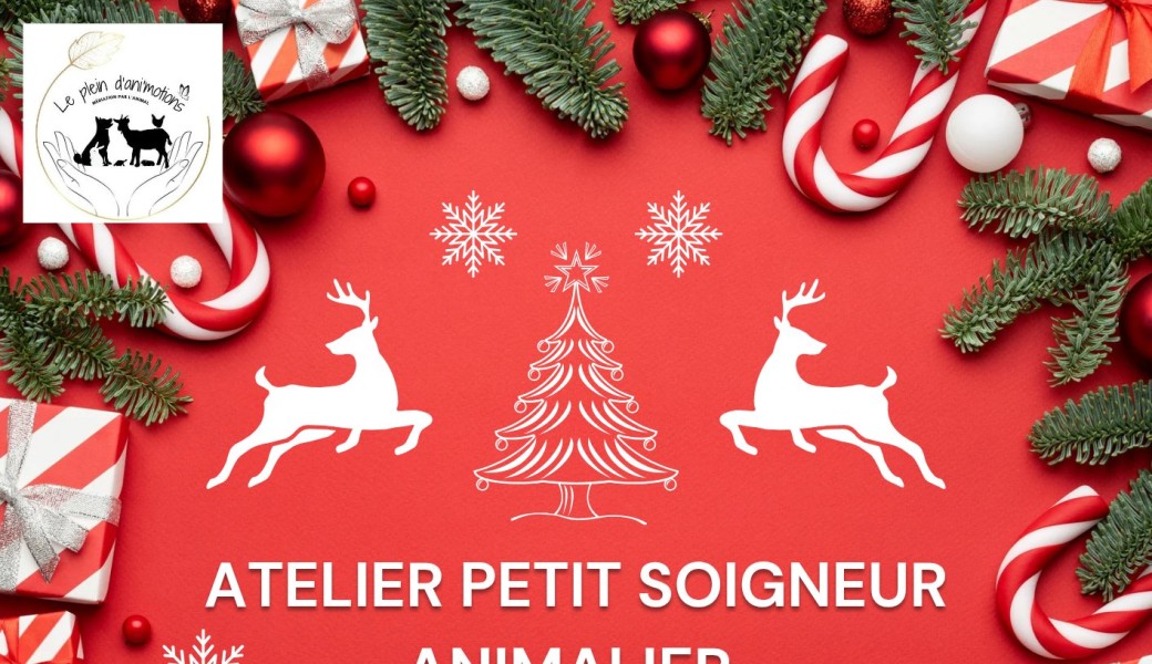 Atelier petit soigneur Édition Noël ???? 