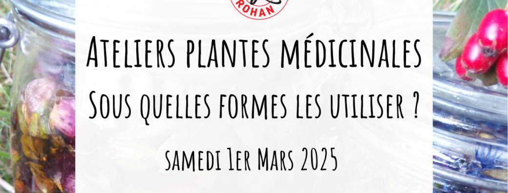 Atelier plantes médicinales - sous quelles formes les utiliser ?