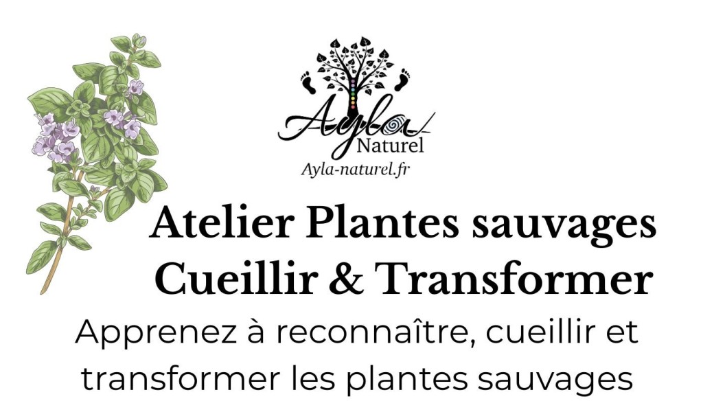 Atelier plantes sauvages: Cueillir & Transformer