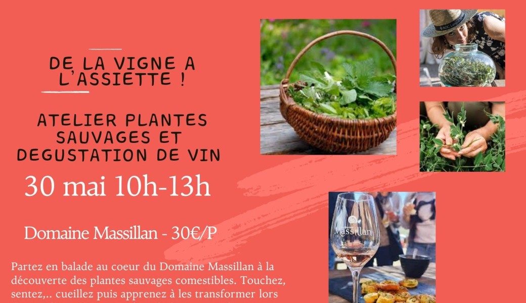 Atelier Plantes Sauvages et Dégustation de Vin