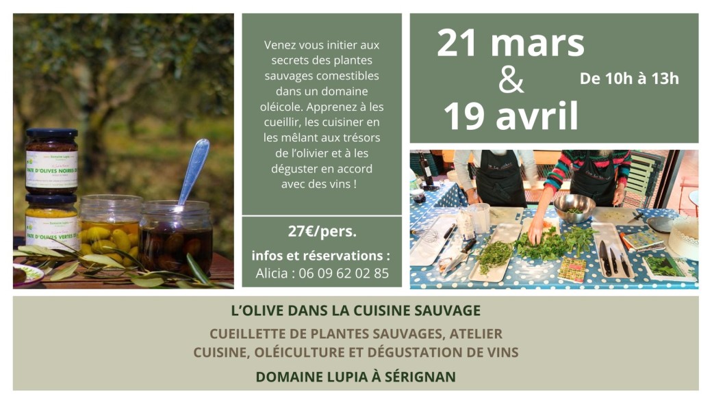 Atelier plantes sauvages, oléiculture et accord mets & vins