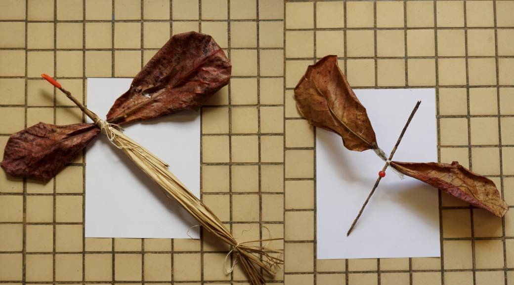 Atelier plein air : Les oiseaux de Sarah Laaroussi