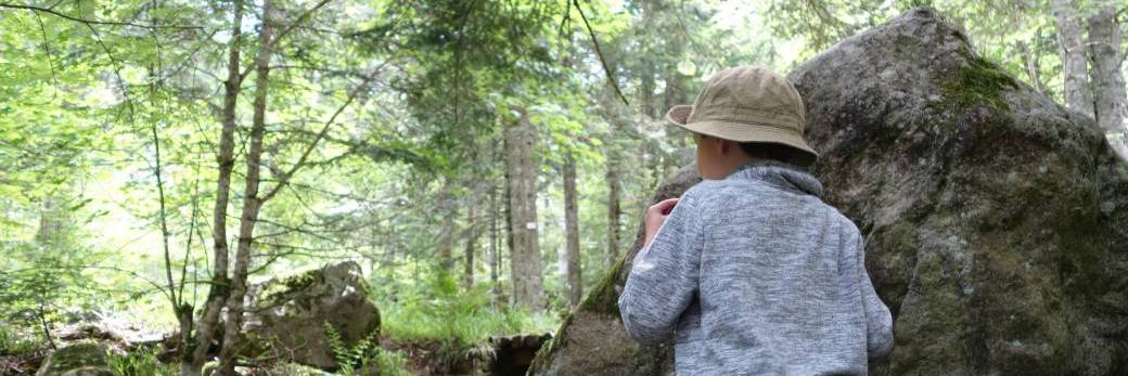 Atelier plein air - Pistez les animaux