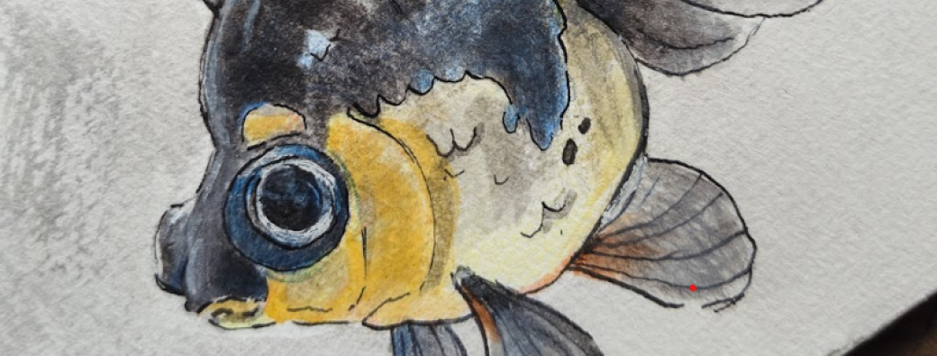 Atelier Portrait Animalier à la Gamelle