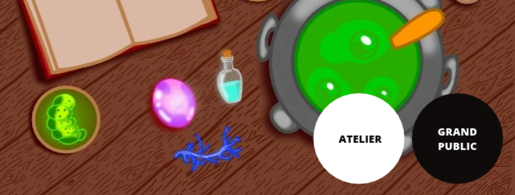 Atelier potion // L'Agora à l'école des sorciers