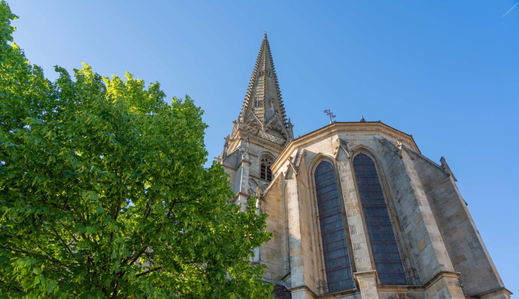 Atelier pour enfant - bestiaire de la cathédrale 