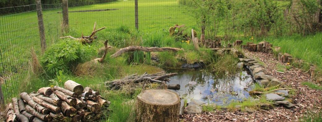 Atelier pratique/formation : réaliser une mare naturelle dans mon jardin 
