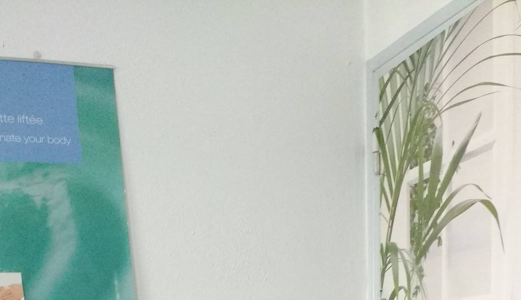 Atelier Qi Gong du printemps