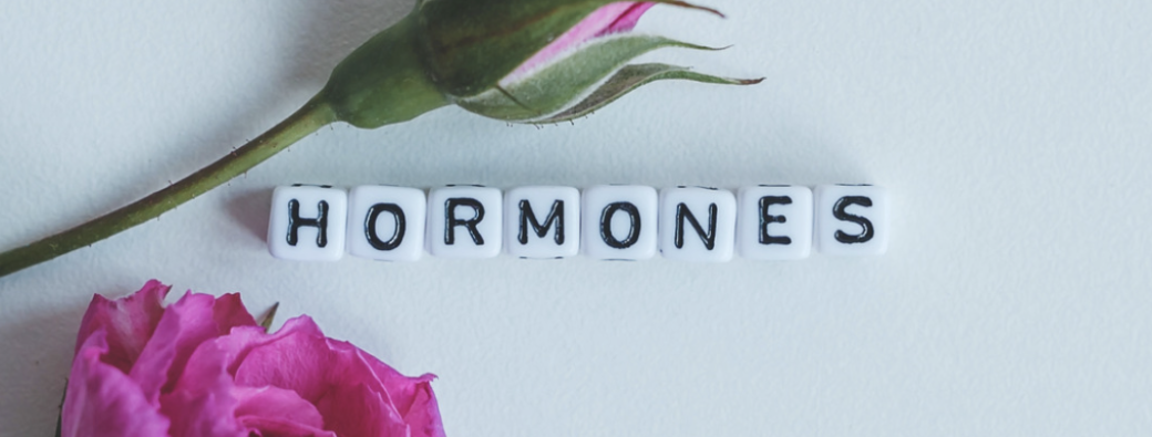 Atelier "Équilibre hormonal au féminin"