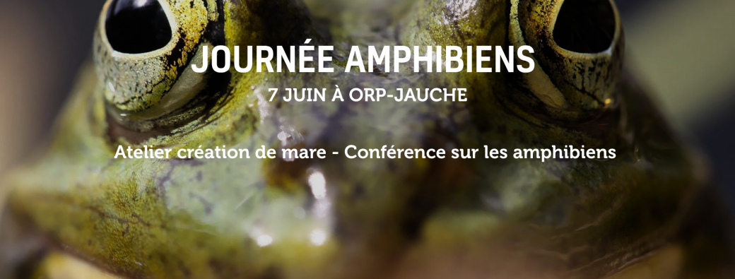 Atelier : réaliser une mare naturelle 