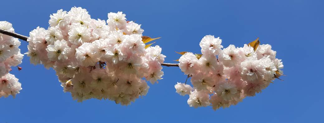 Atelier Renaissens avril 2026