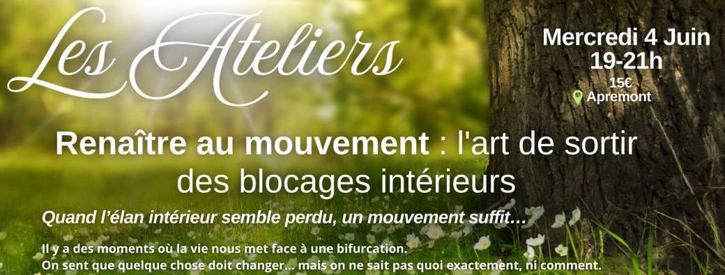 Renaître au mouvement : l'art de sortir des blocages intérieurs