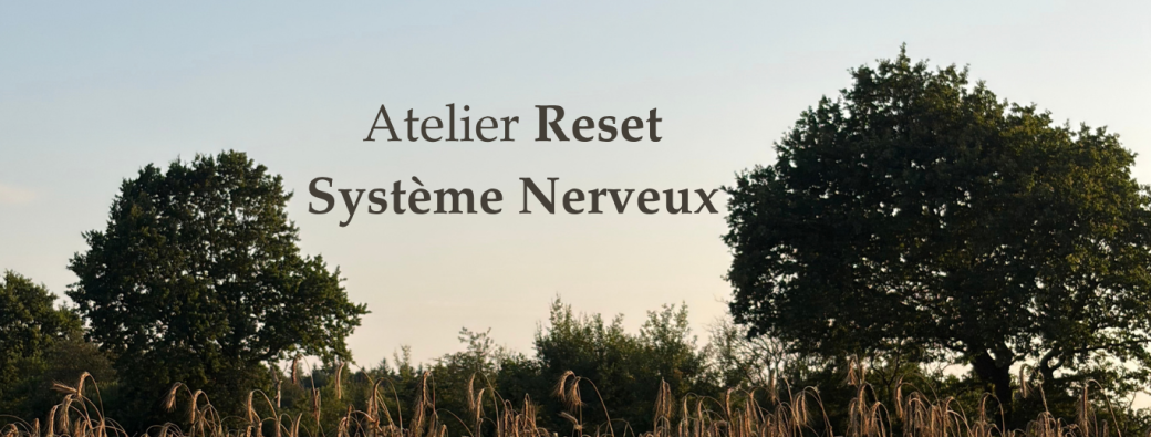 Atelier Reset système nerveux