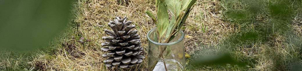 ATELIER | La science des druides (9 à 12 ans)