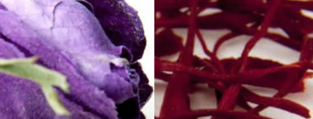 Atelier Rose et safran