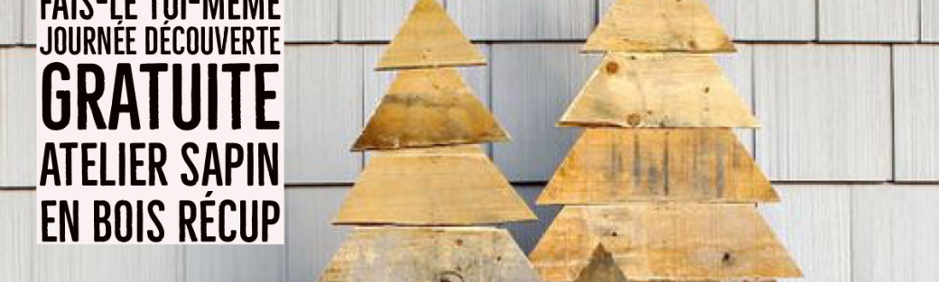 Atelier Sapin en Chute de Bois - Journée Découverte FLTM