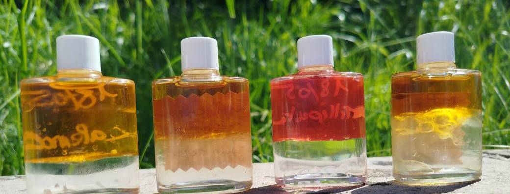 Atelier sauvage et sensoriel sur le marché de producteur et artisans de Baume-les-Messieurs