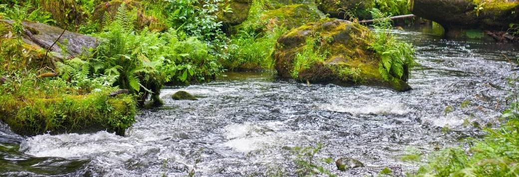 Savoir se relaxer au quotidien EN LIGNE