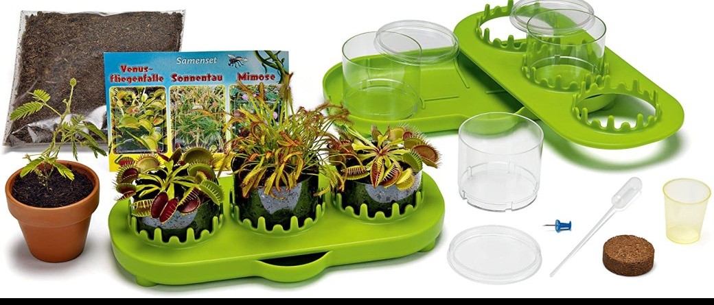 Atelier scientifique Plantes très malignes