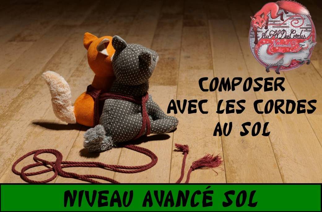 Atelier Shibari Rouen "Composer avec les cordes au sol" (niveau avancé sol)
