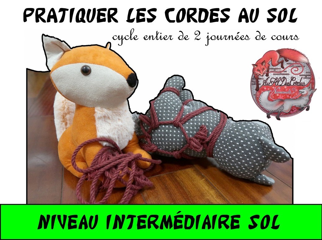 Atelier Shibari Rouen - cycle entier intermédiaire sol "Pratiquer les cordes au sol"