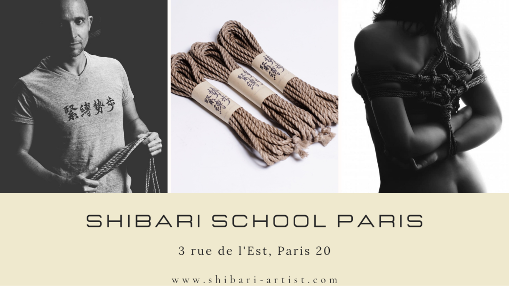 Niveau 2 : SPECIAL HARNAIS DE BUSTE