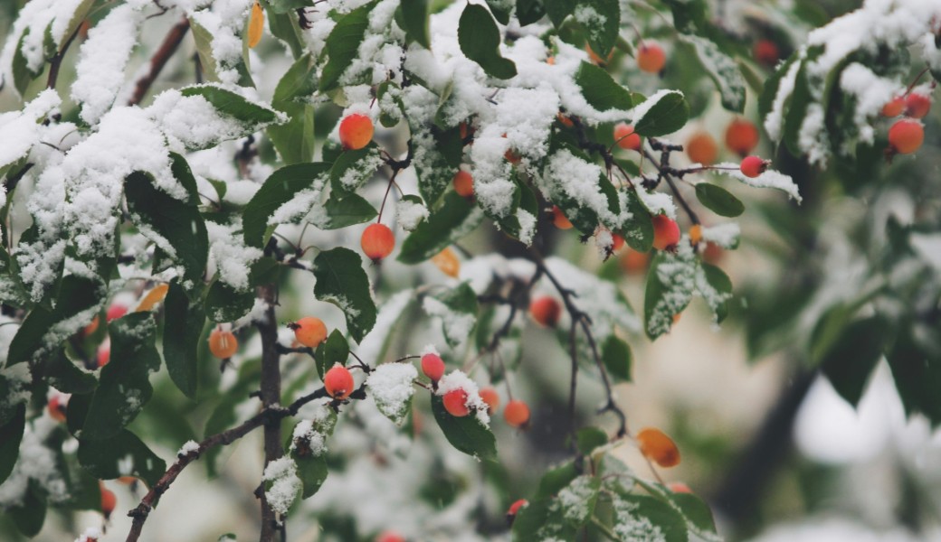 Atelier - solstice d'Hiver - cercle de femme et yoga