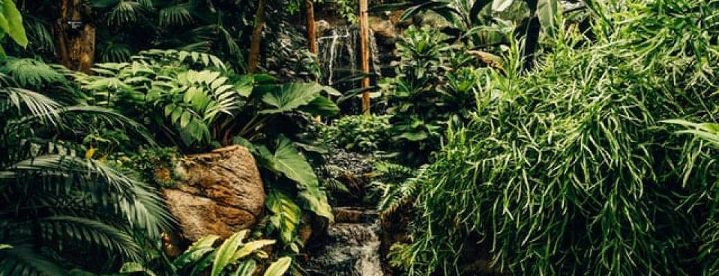 Ateliers Sophrologie et Gestion du Stress Ateliers Sophrologie et Gestion du Stress