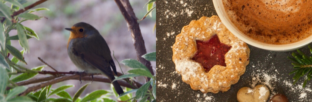 Atelier sophrologie : savourer les petits plaisirs du quotidien