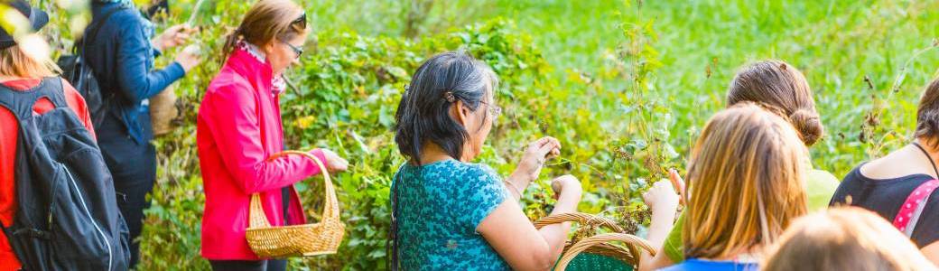 Atelier sorbets de plantes sauvages (2020) Atelier sorbets de plantes sauvages (2020)