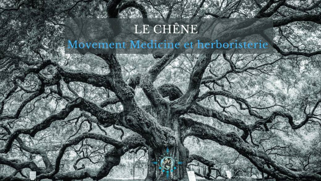atelier sur le chêne