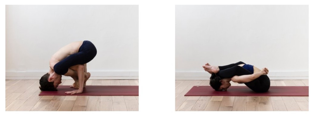Atelier sur les postures phares de la première série de l'ashtanga