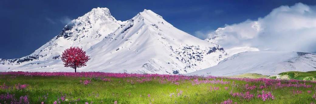 Atelier sur les valeurs qui fondent le collaboratif