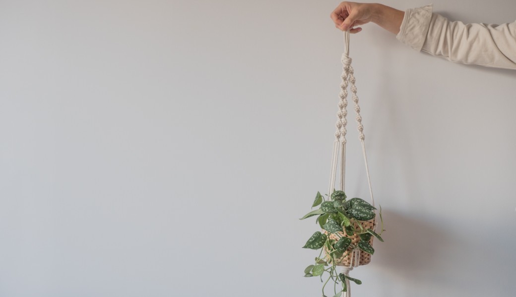 Atelier suspension pour plante en macramé